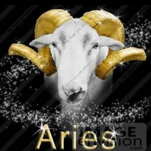 Meet your Posher, Danyale